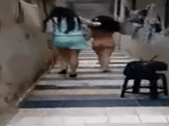 Melhor amiga flagrada dando duro pro marido e levando porrada