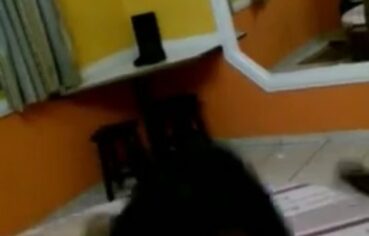Lorena Loira Enfia a Boca no Negão e Grava Boquete Proibido no Motel