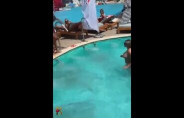 Panicats Safadas Mostram Tudo em Resort Enquanto Amiga Grava Toda a Luxúria