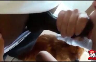 May safada sentando gostoso no pau e engolindo toda porra na boquinha