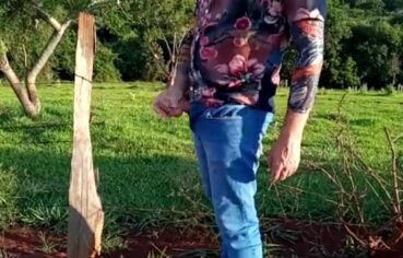 Mulata ninfeta se entrega ao sexo selvagem no meio da mata