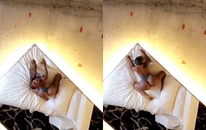 Shakka Fernandez exibe seu corpo sensual de quatro no motel ao som de rap
