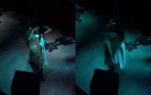Fani a ex bbb pelada e safada fazendo strip num puteiro de curitiba