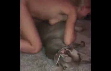 Loira safada pelada brincando com os cães antes de sentar de ladinho no pau grosso