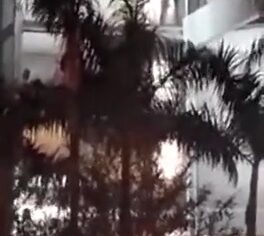 Mulher Flagrada Chupando Empresário em Sala de Vidro no Shopping